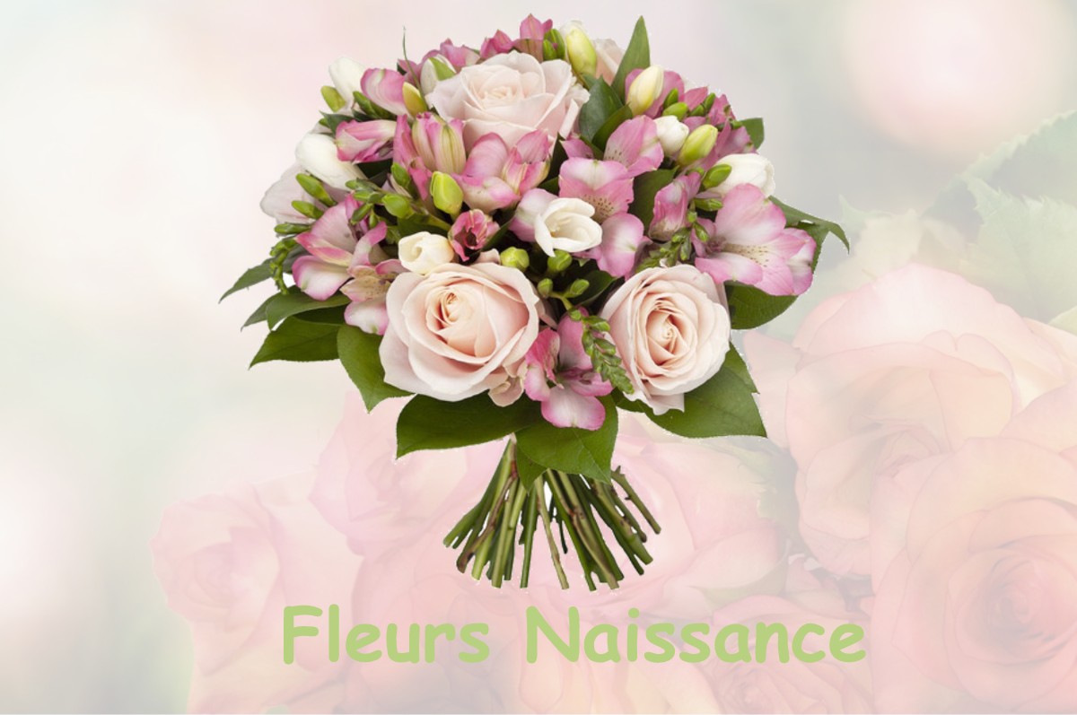 fleurs naissance SAINTE-MARIE-LA-ROBERT